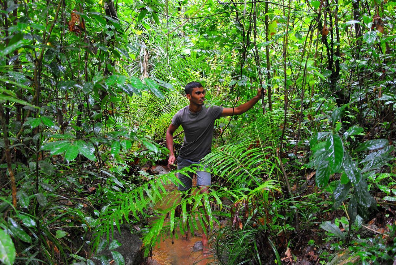 Jungle River Ginigathena Eksteriør billede