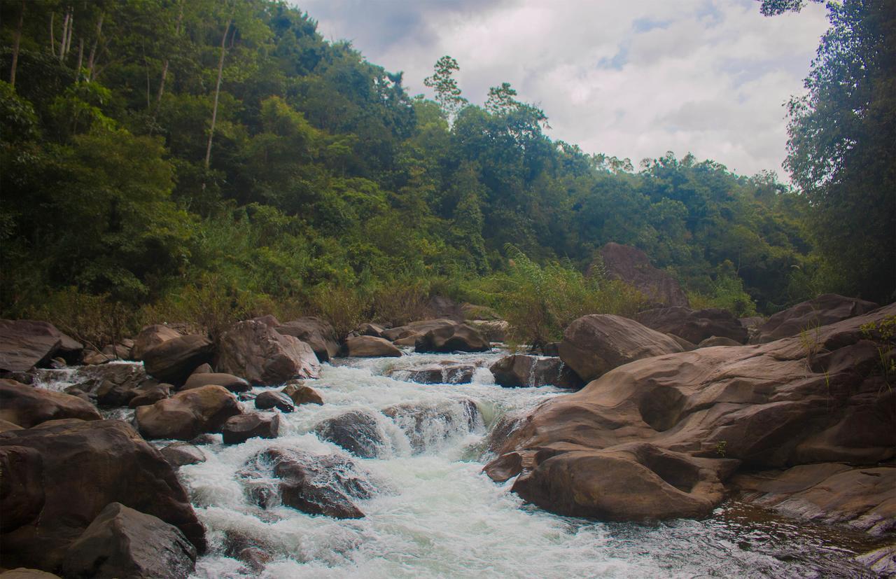 Jungle River Ginigathena Eksteriør billede