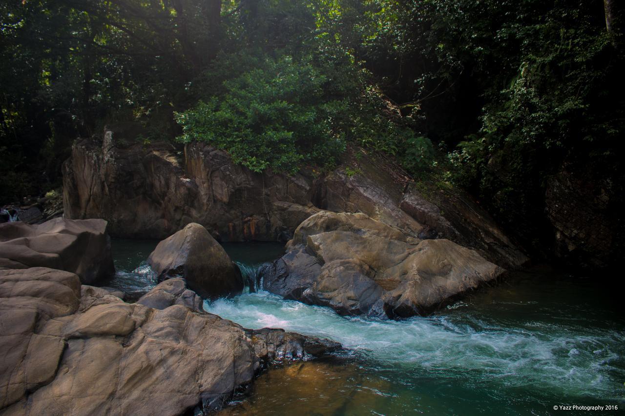 Jungle River Ginigathena Eksteriør billede