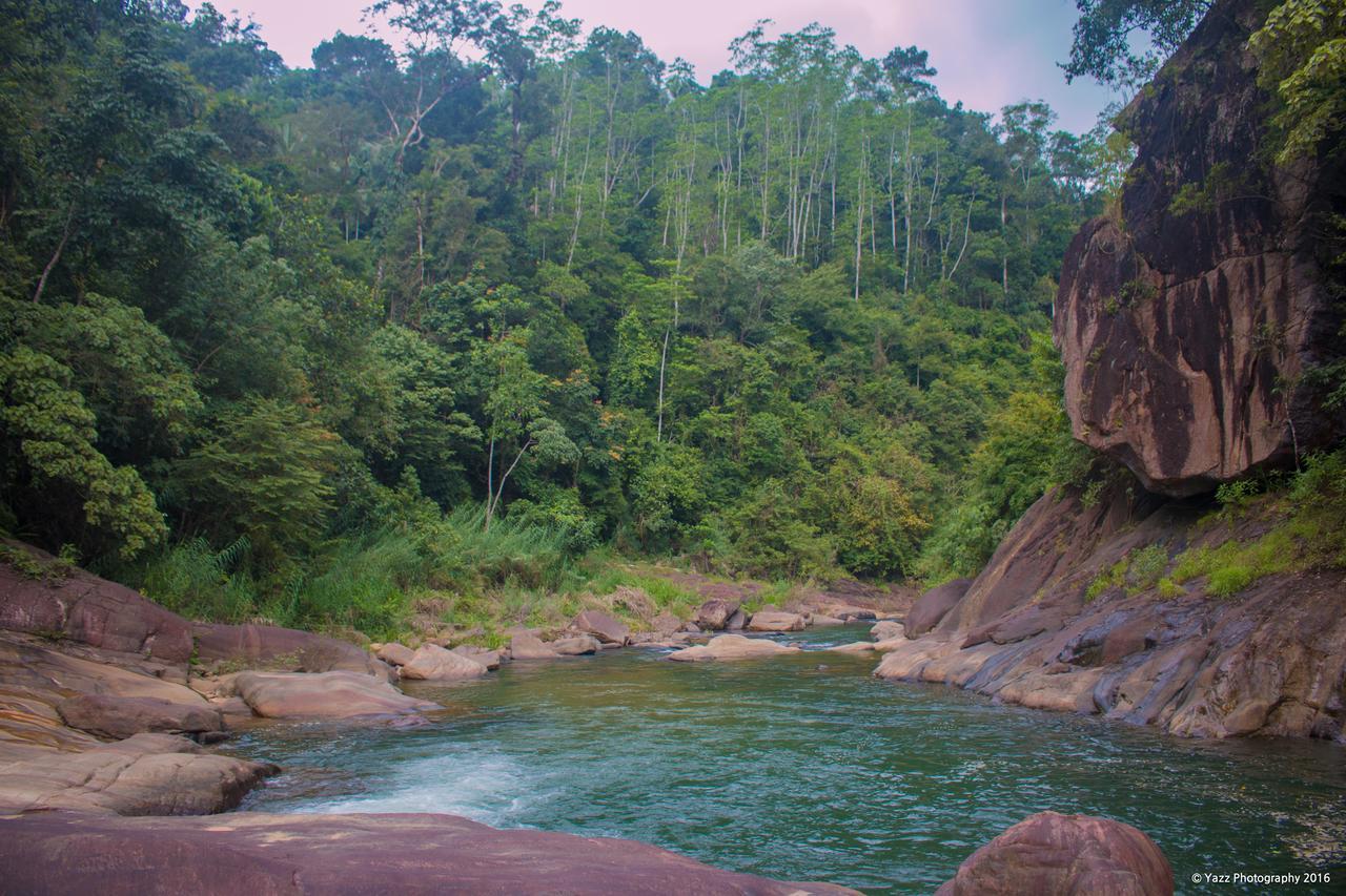Jungle River Ginigathena Eksteriør billede