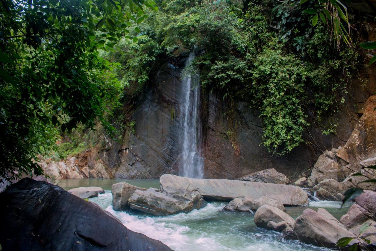 Jungle River Ginigathena Eksteriør billede